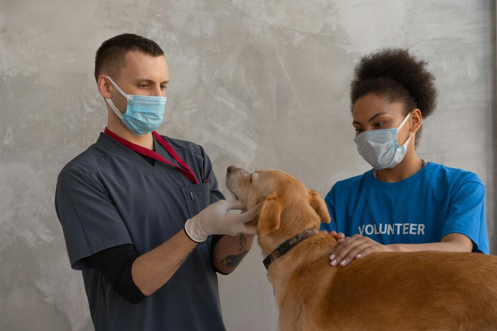 Protecting Our Pets and Community: The Role of Vaccinations and Herd&nbsp;Immunity